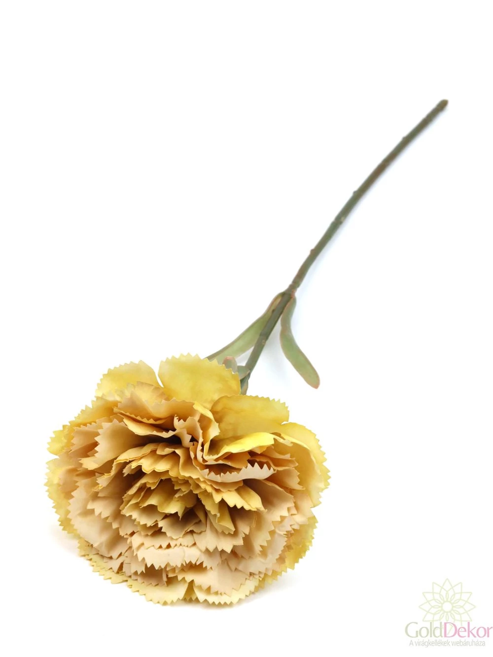 Szálas antik szegfű - Halvány barna