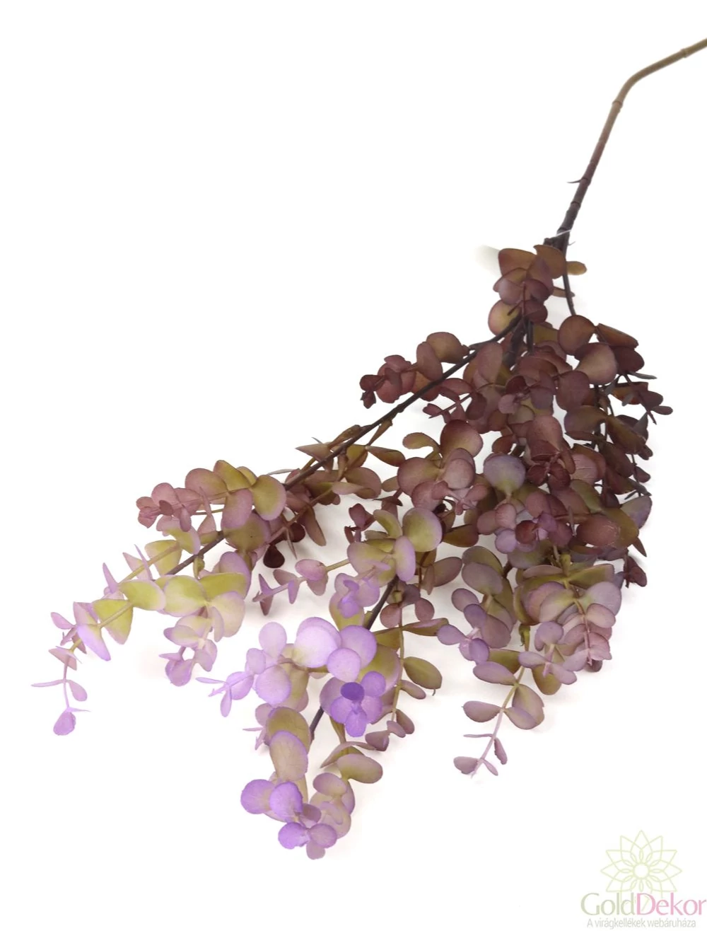 Őszi színátmenetes eukalypthus ág - Lila