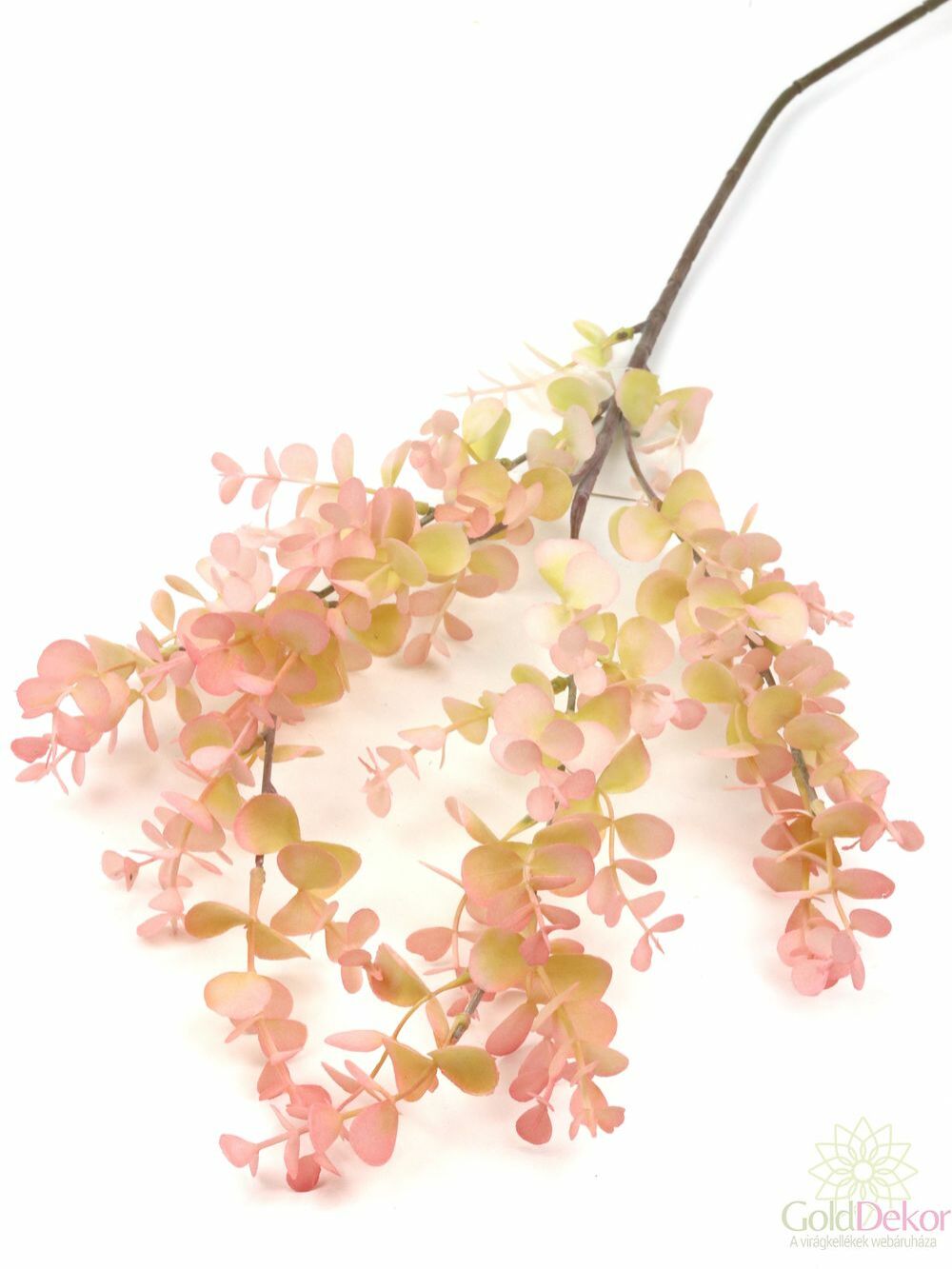 Őszi színátmenetes eukalypthus ág - Rózsaszín