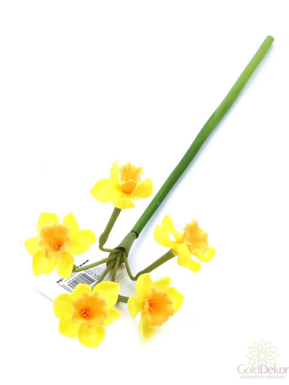 Szálas gumi nárcisz - Sárga