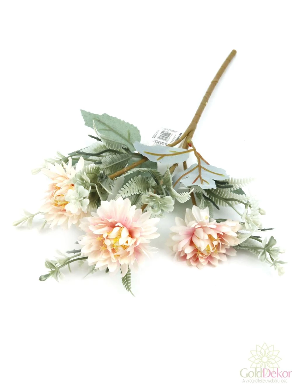 Szálas őszirózsa - Barack