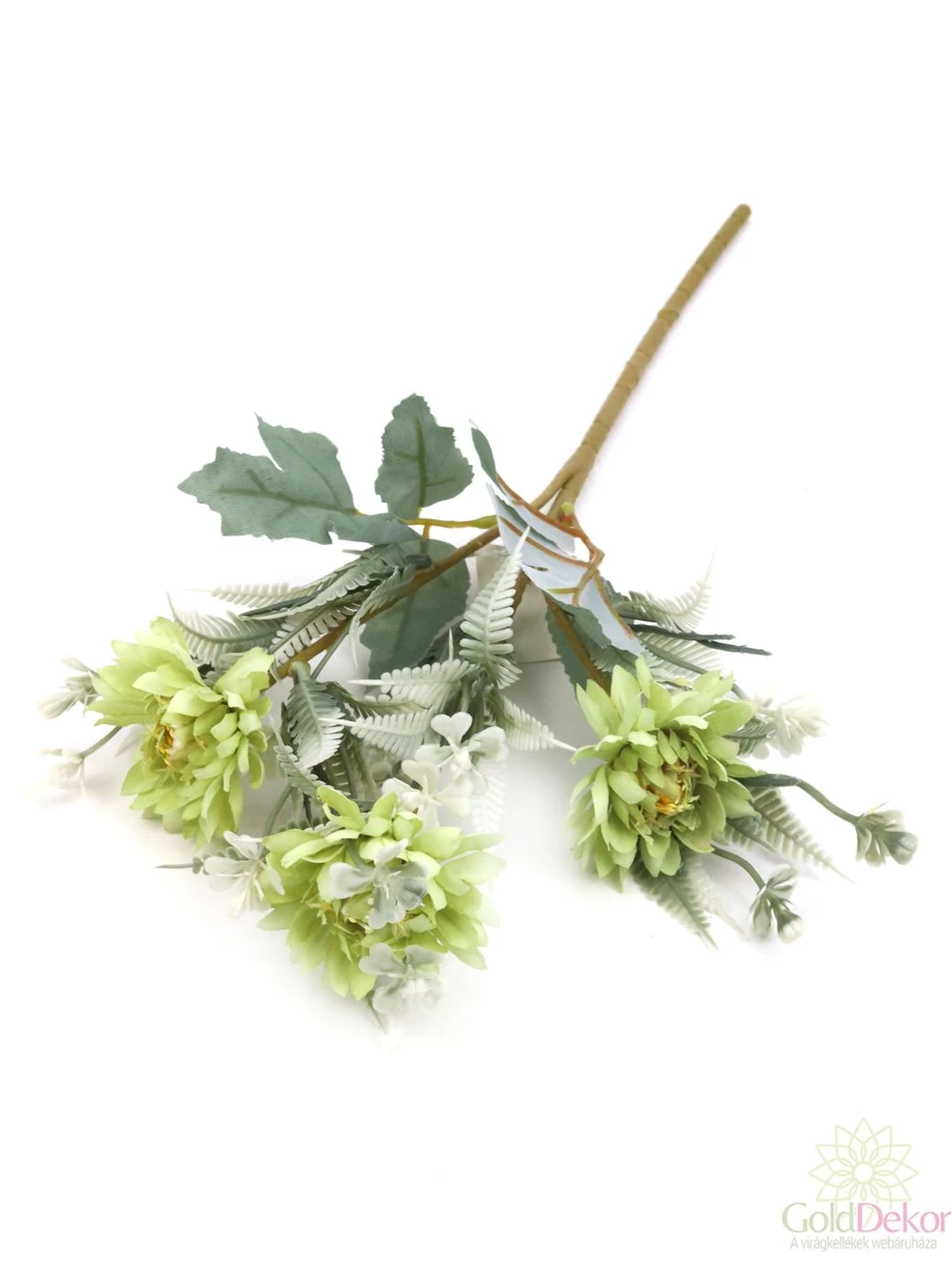 Szálas őszirózsa - Zöld