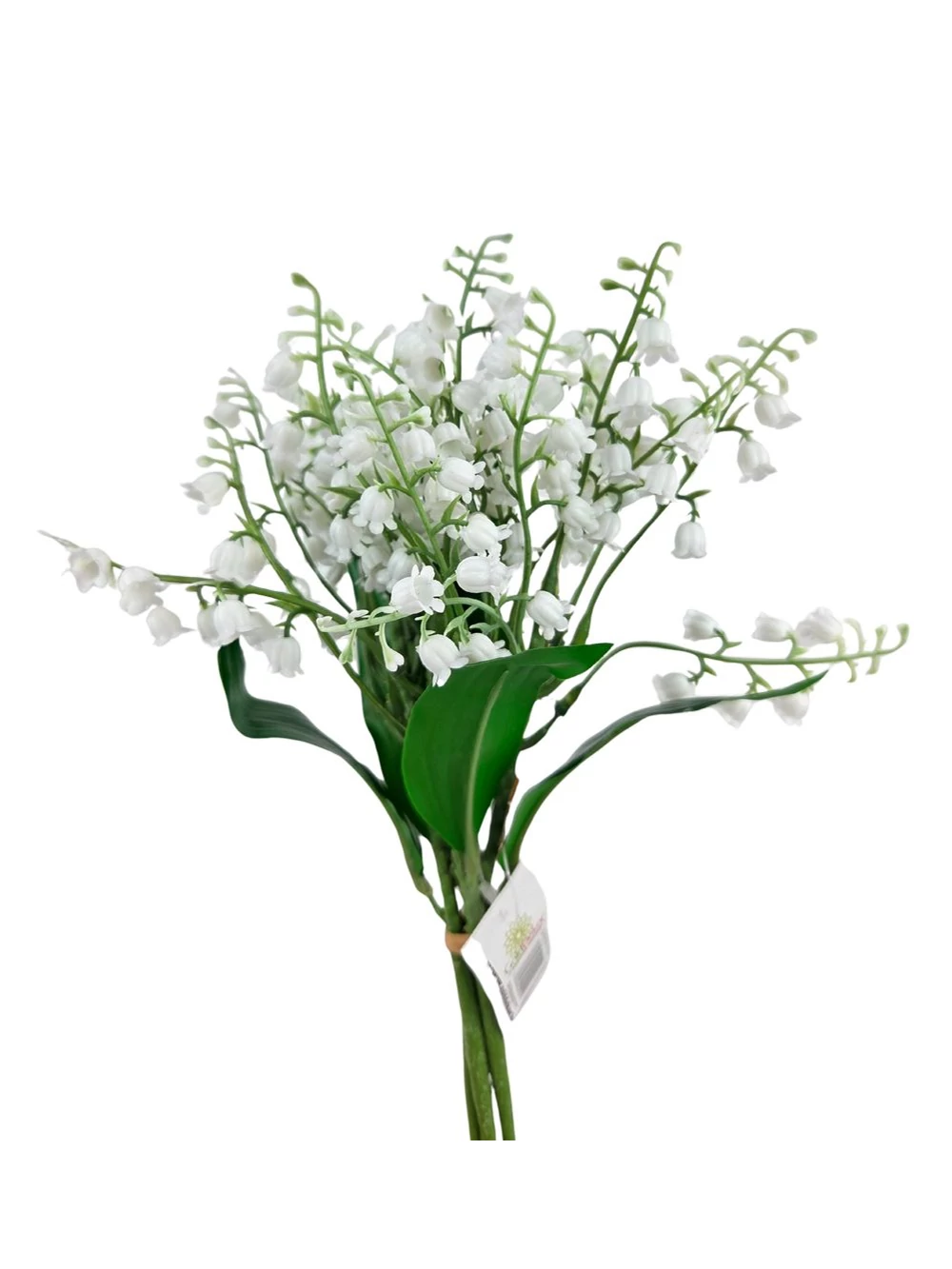 Gyöngyvirág - Fehér