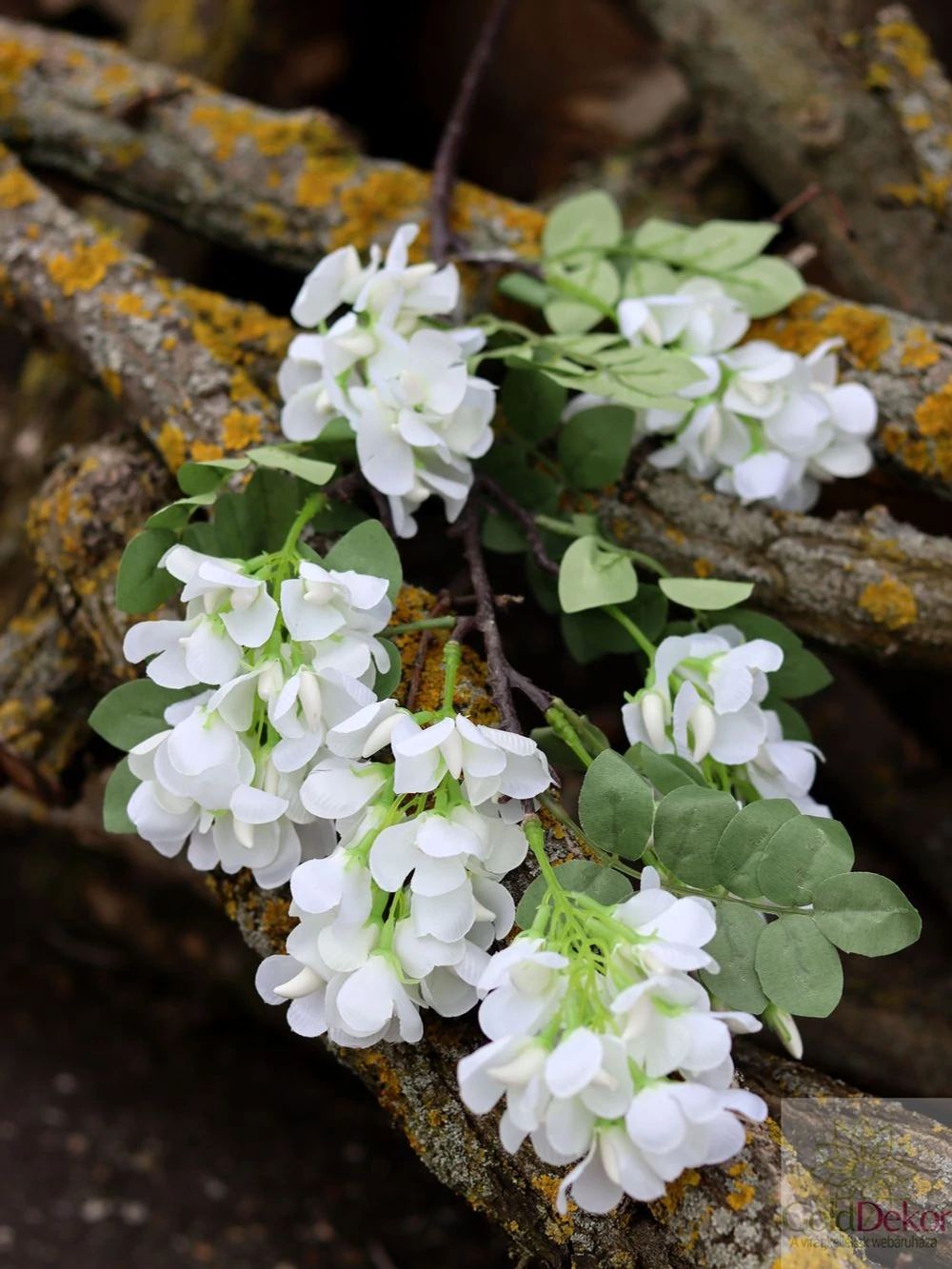 Akác virág ág - Fehér