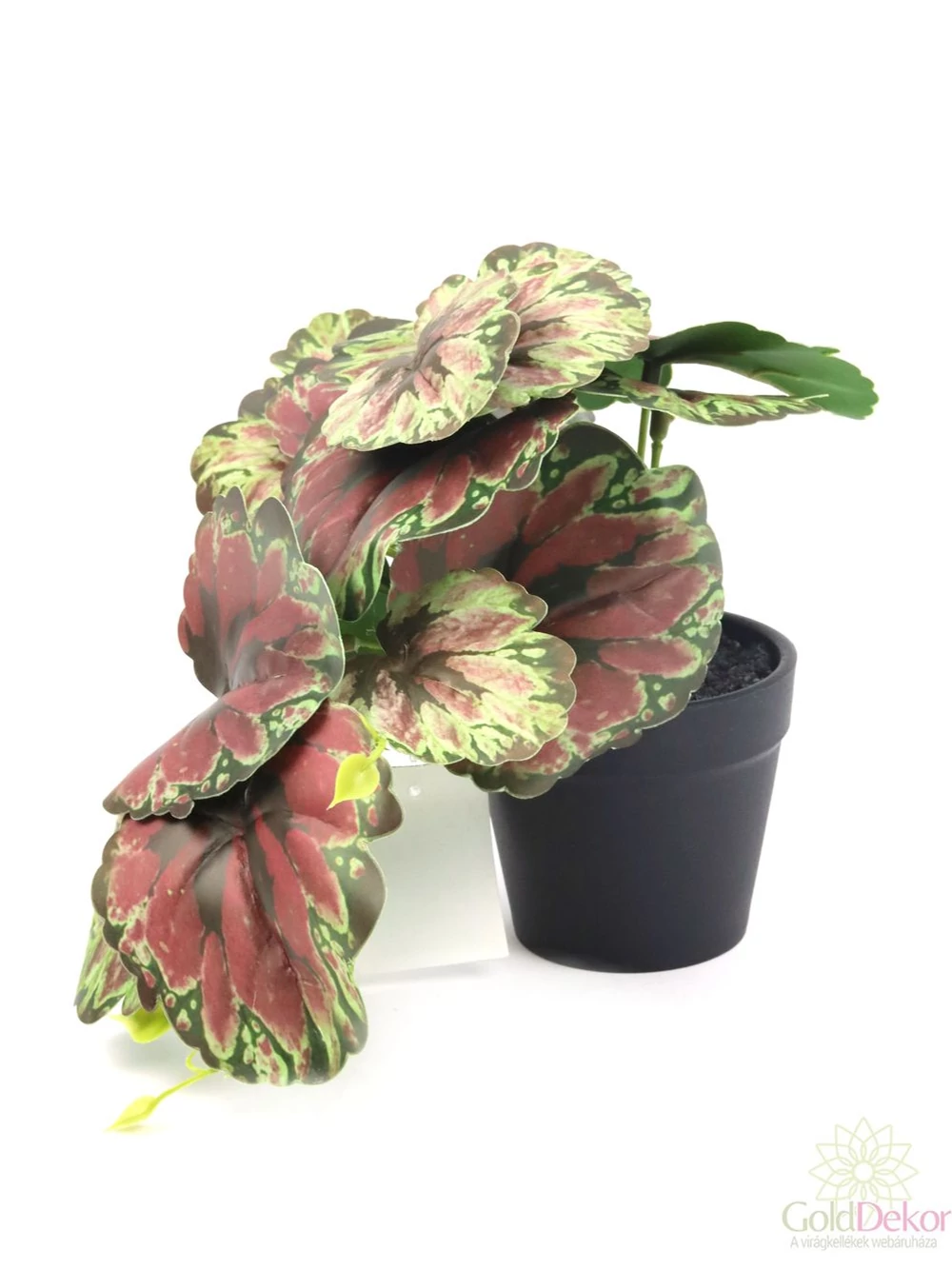 Cserepes műnövény 7