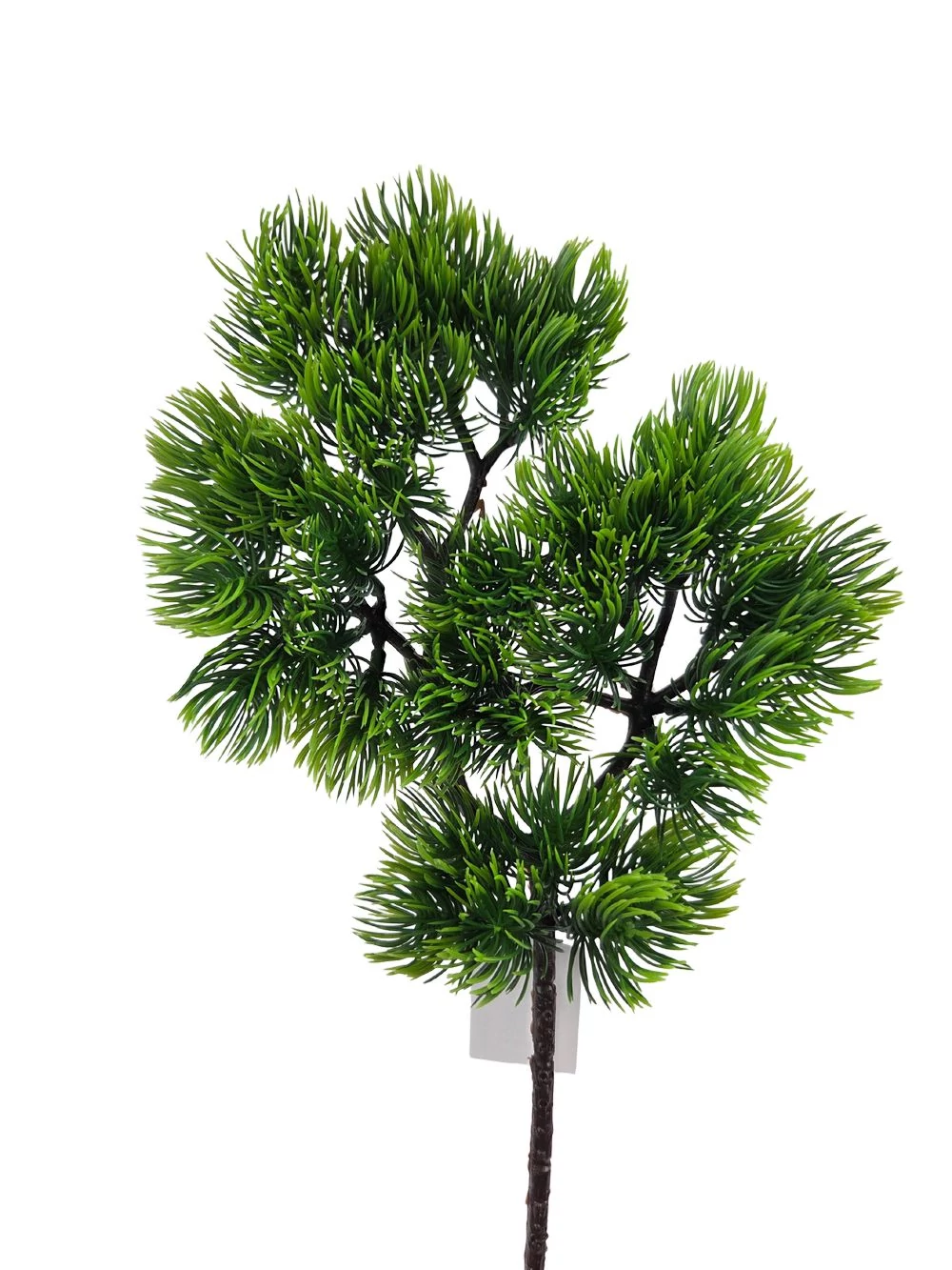 Műzöld vörösfenyő ág - Zöld