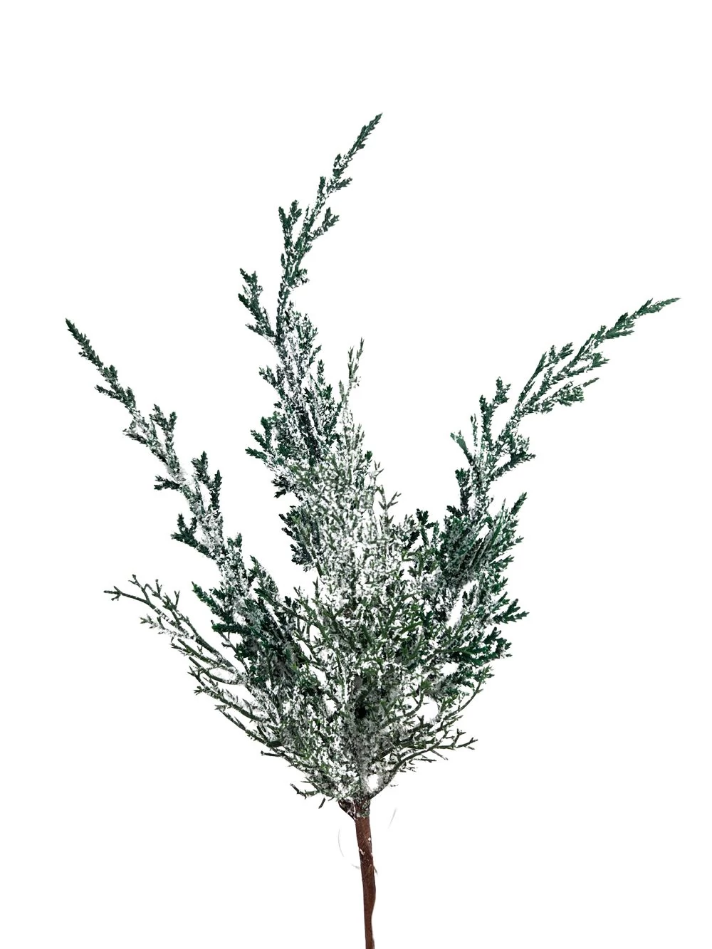 Havas vegyes tuja ág