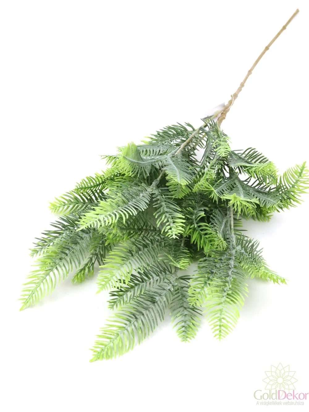 Normand fenyő 75 cm -  Világos zöld