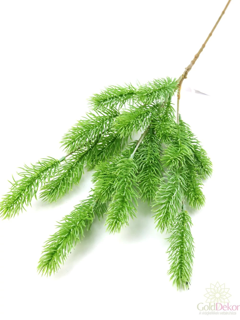 Hosszúszárú fenyő ág  - Világos zöld