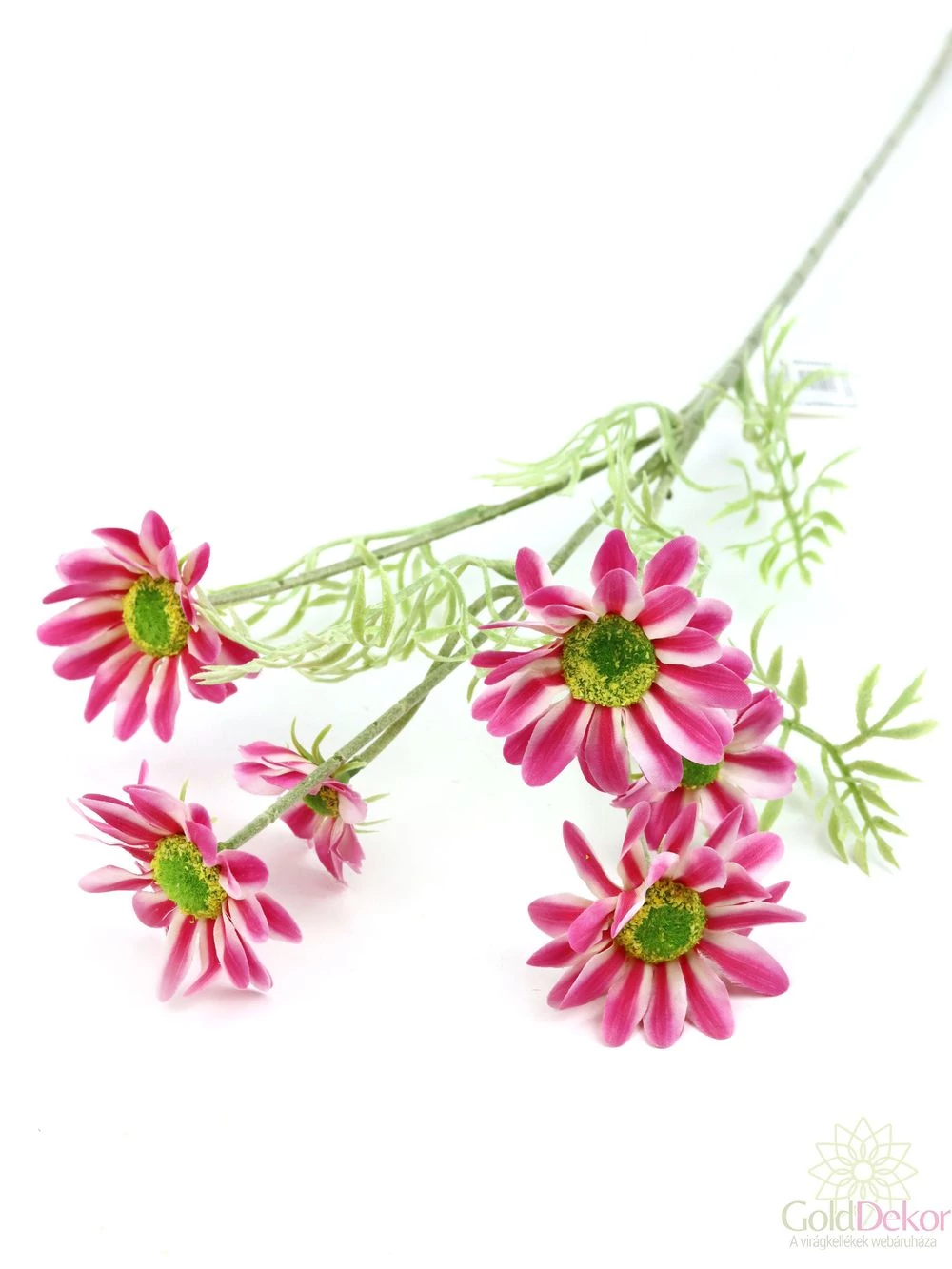 Szálas pillangóvirág - Pink