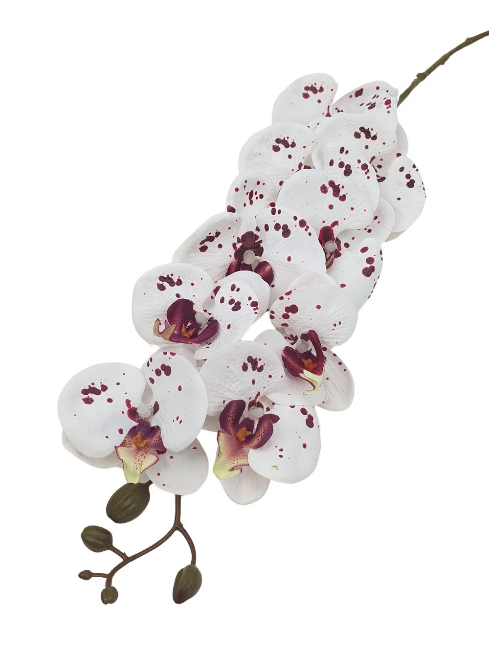 9 fejes nagy phalenopsis ág - Bordó pöttyös