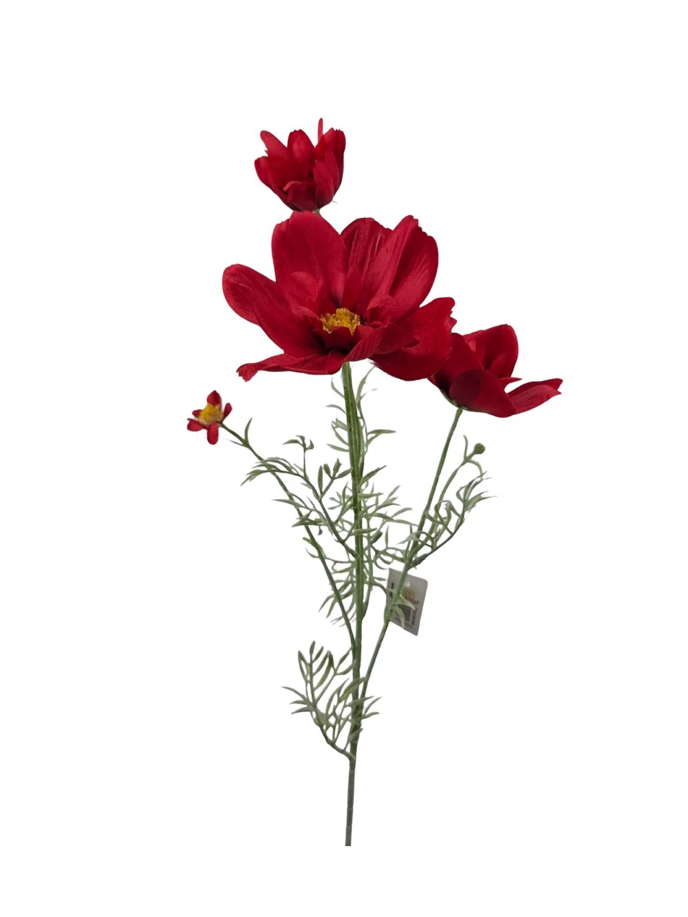 Szálas pipacs - Piros