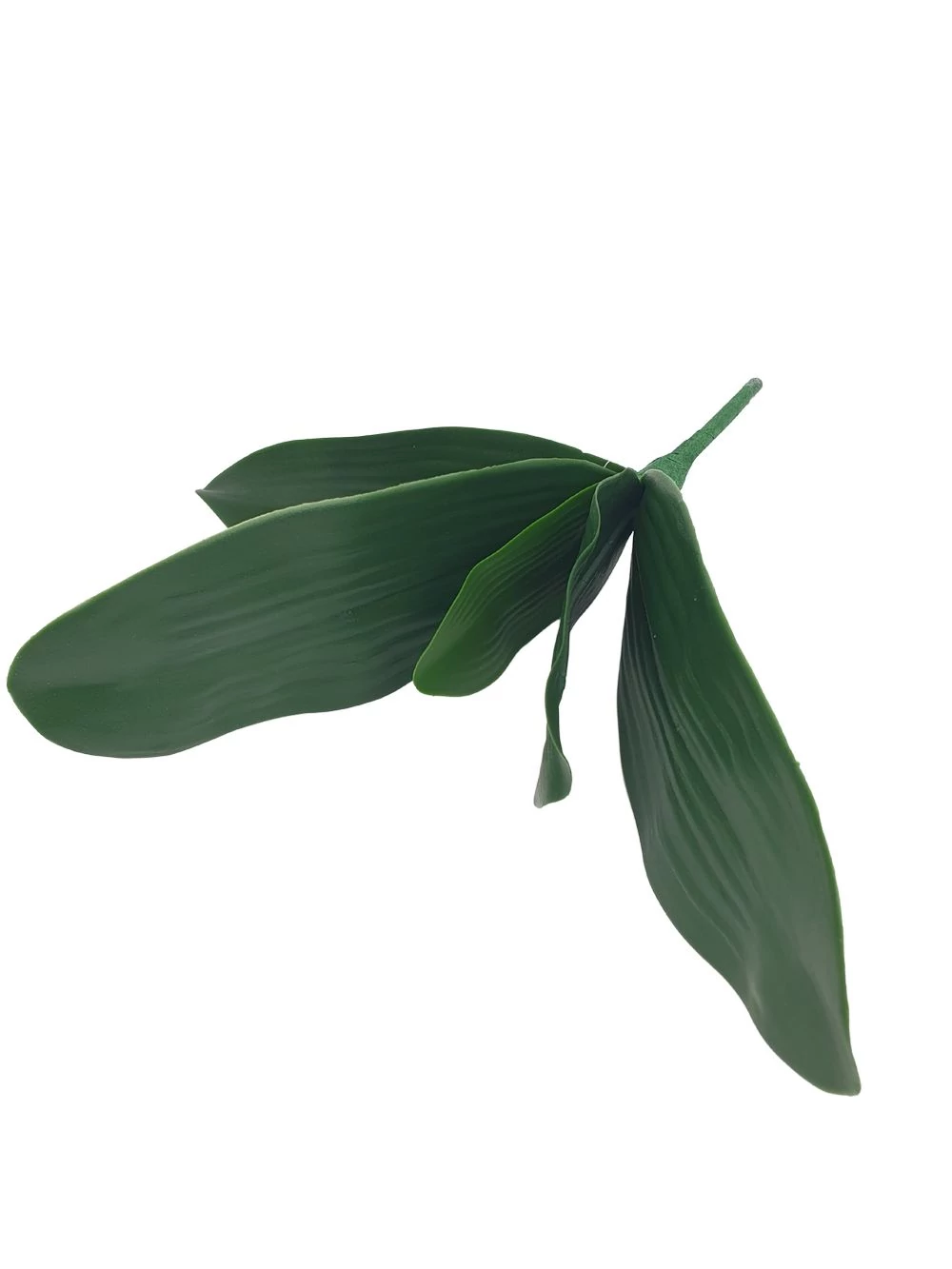 5 leveles orchidea levél
