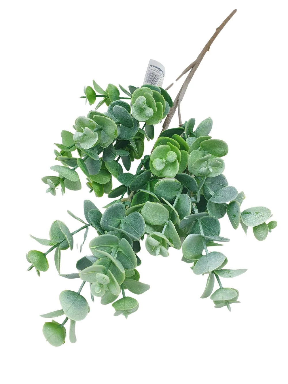 Eukalyptghus ág 50 cm - Zöld