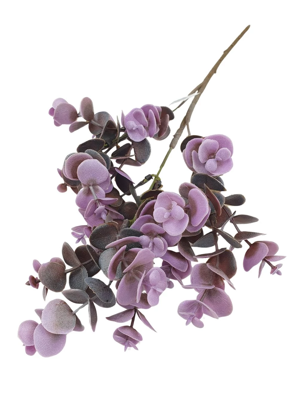 Eukalypthus ág 50 cm - Lila