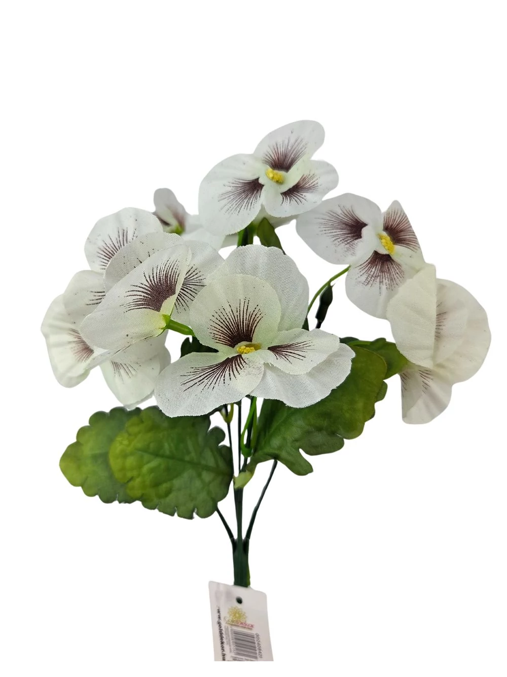 Árvácska csokor  - Fehér