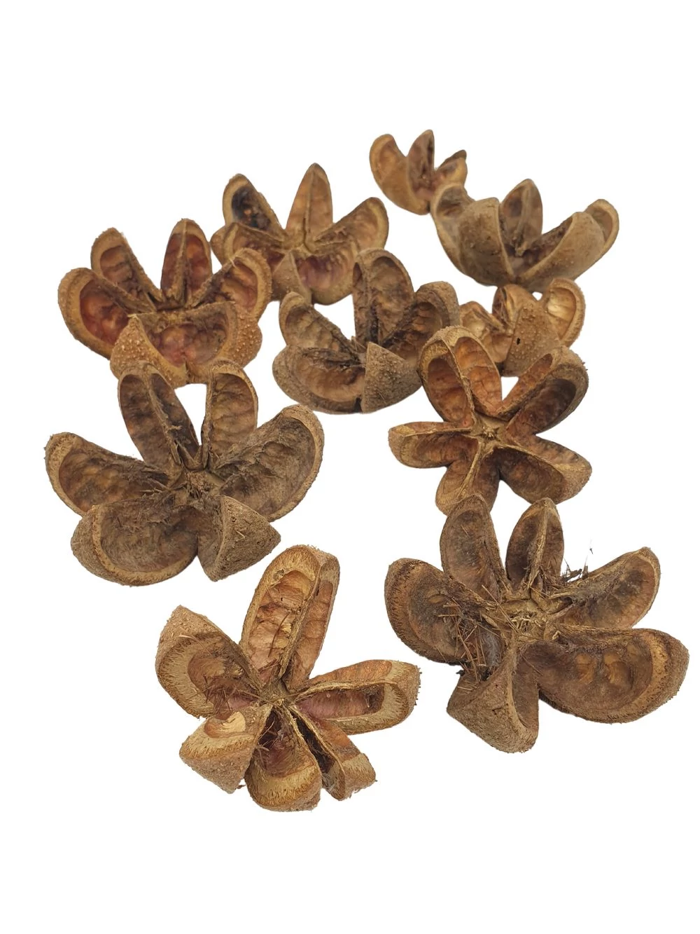 Wild Orange - Natúr