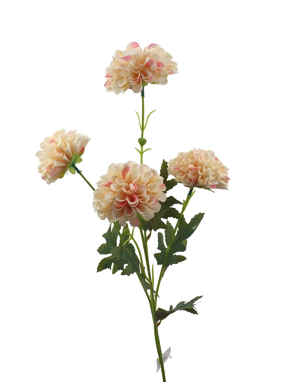 Szálas krizantém 80 cm - Cirmos