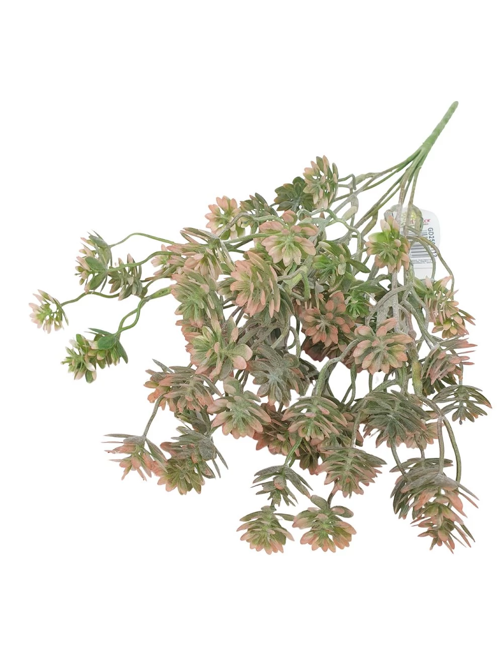 Műzöld 424 - Barack