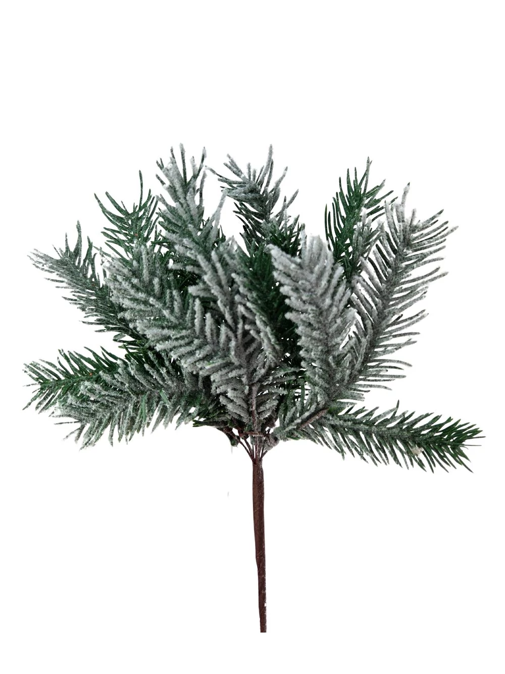 Havas fenyő pikk - Rövid tűlevelű