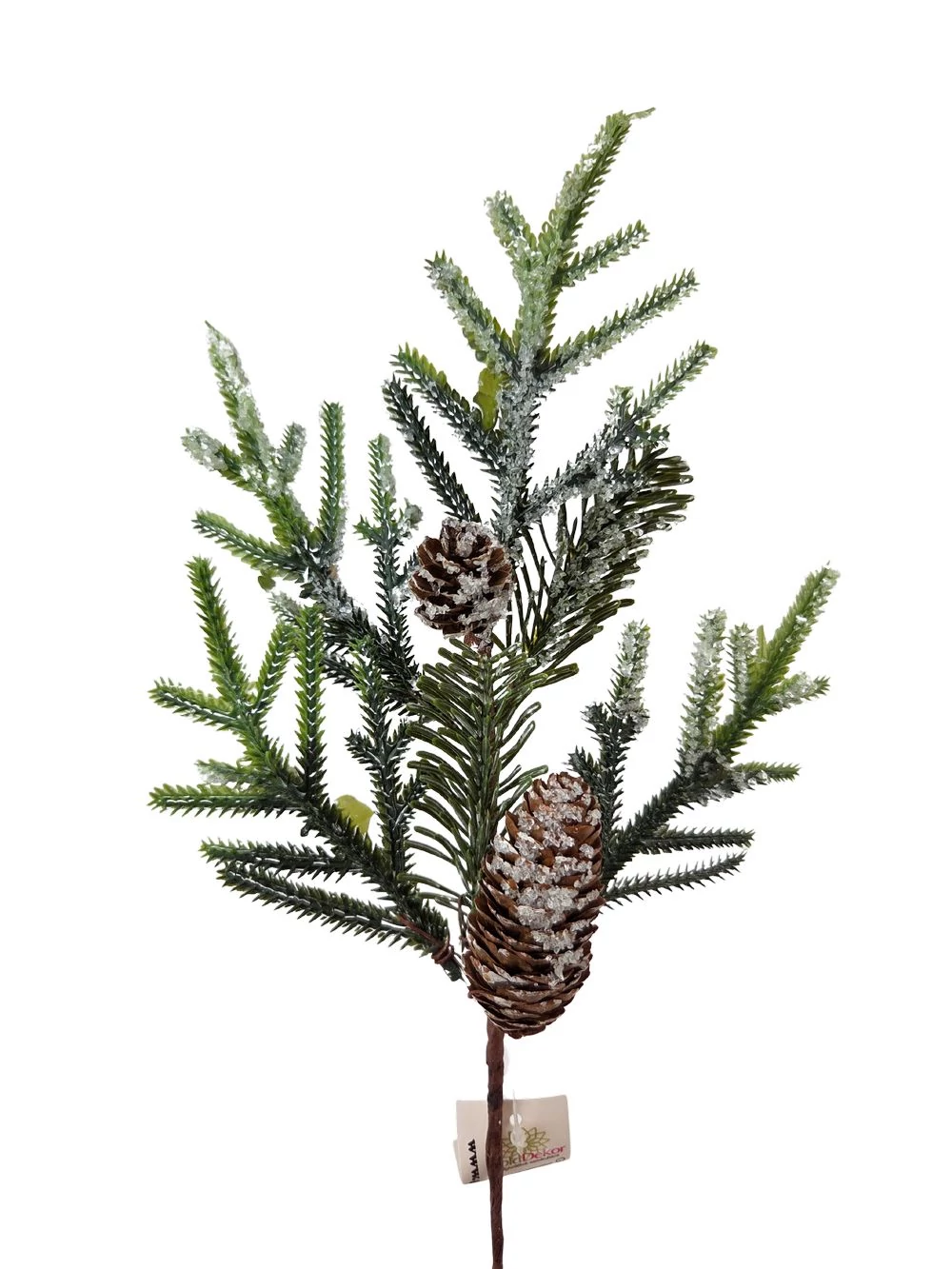 Mű norfolk fenyőág tobozzal
