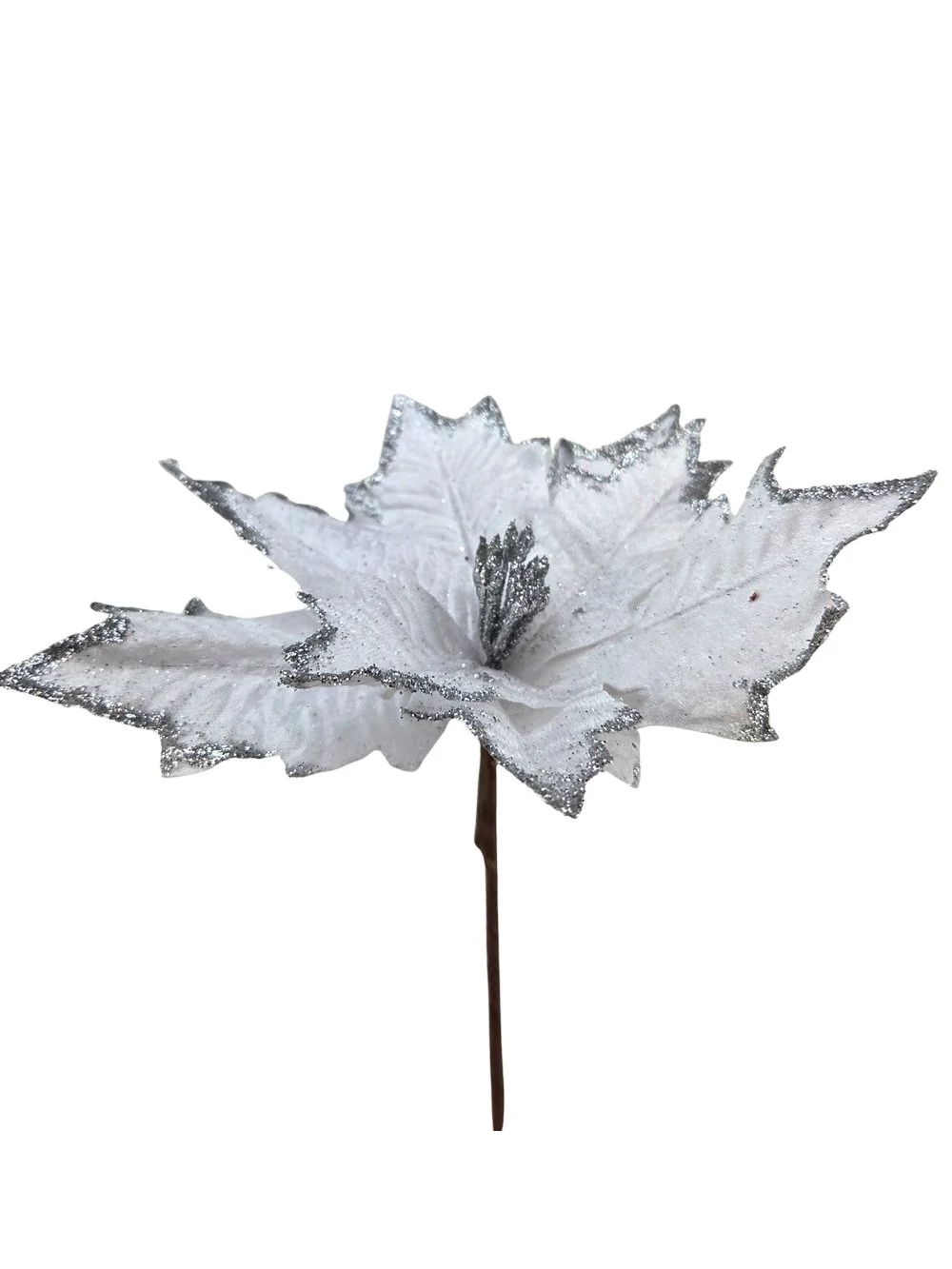 Nagy glitteres szélű mikulás virág - Fehér