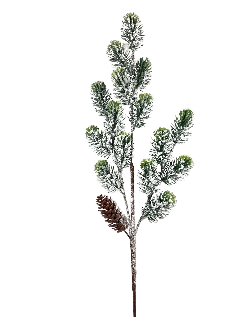 Havas fenyőág szivartobozzal