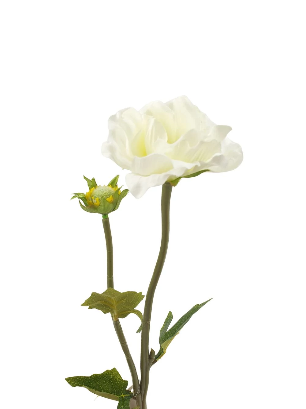 Szálas anemone 2 ágas  - Fehér