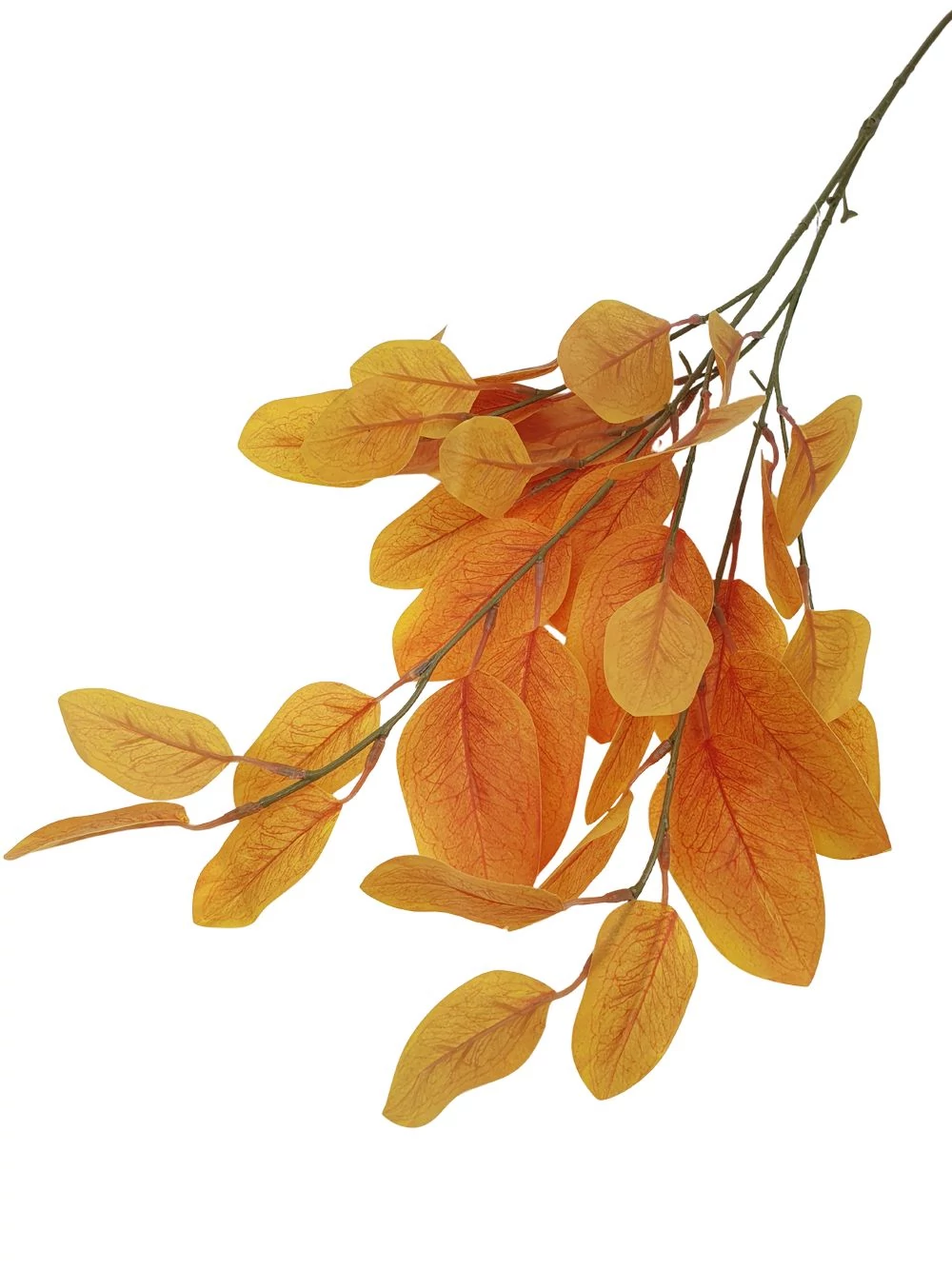 Leveles ág 5 - Napsárga