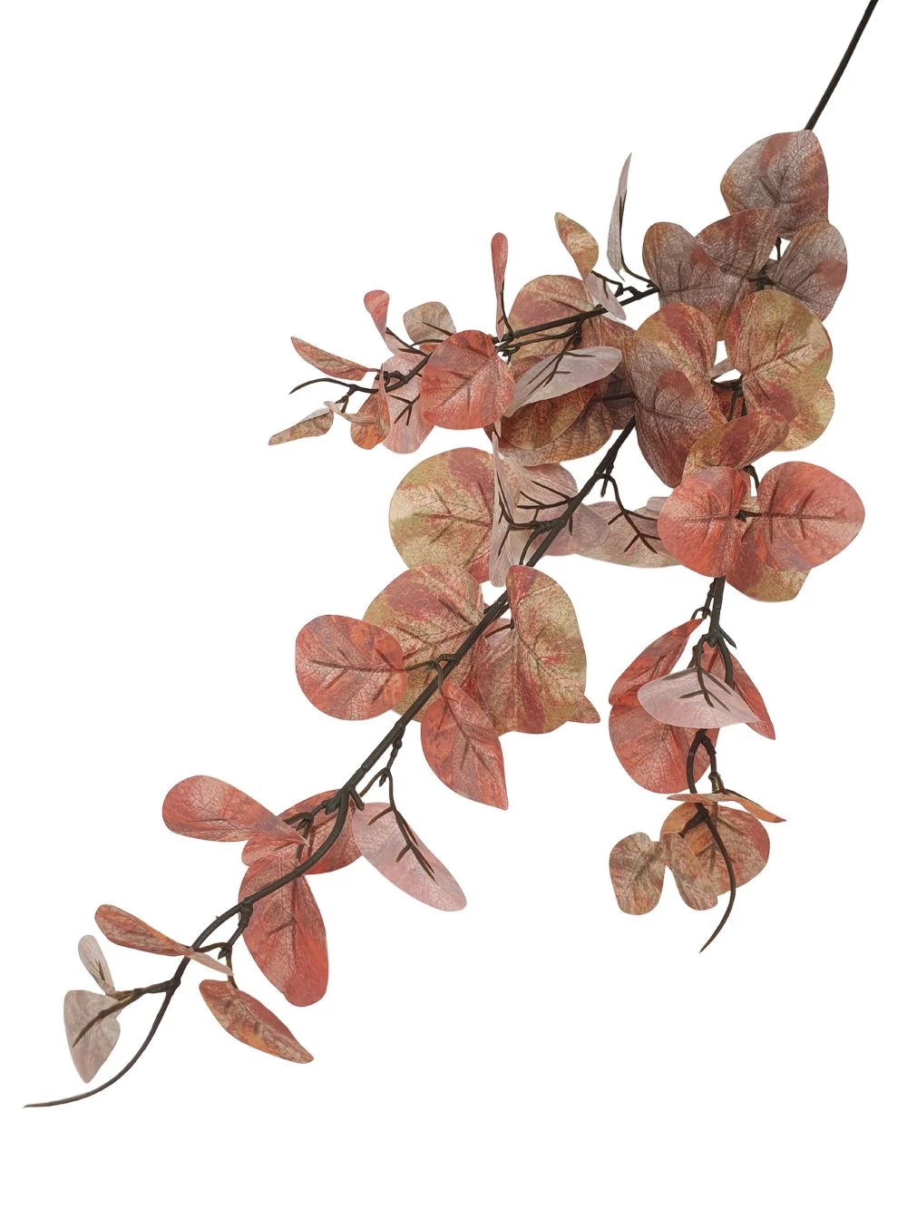 Tarka levelű levél ág - Barna