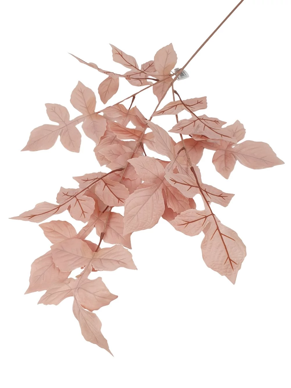 Őszi levél ág 1 - Barack