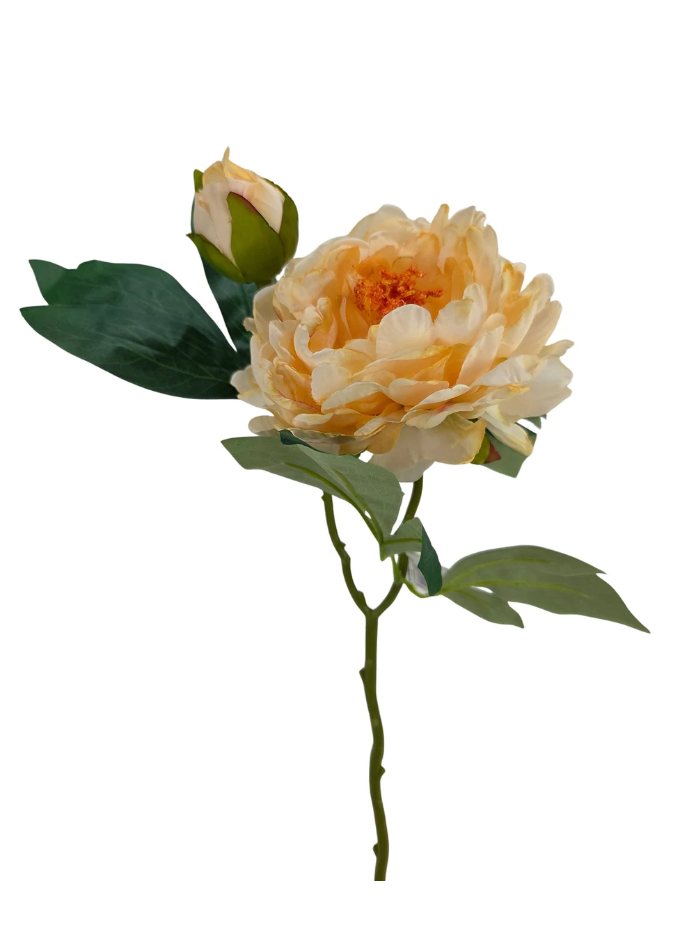 Szálas peónia 47 cm - Krém