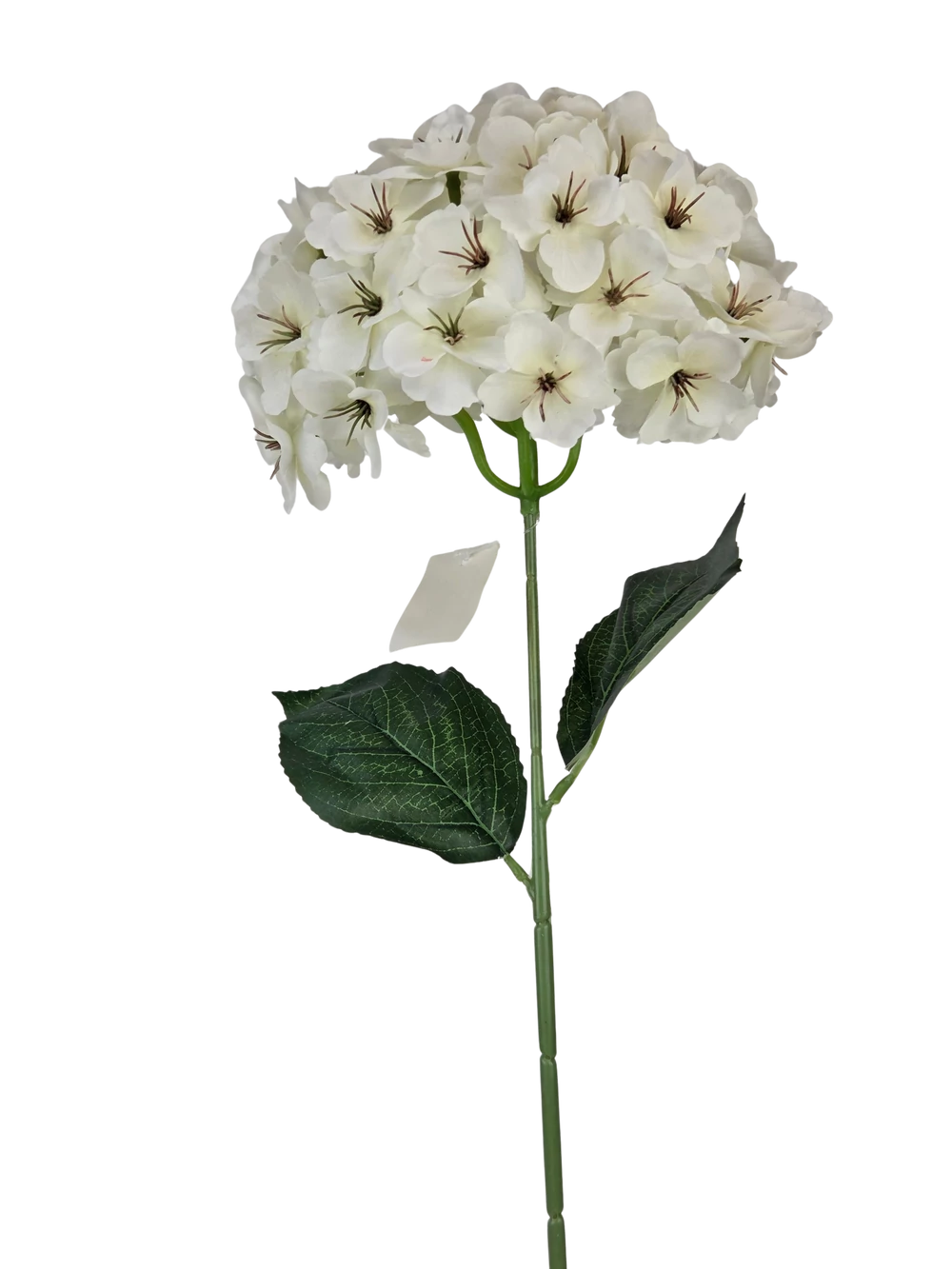 Szálas hortenzia 70cm - Fehér