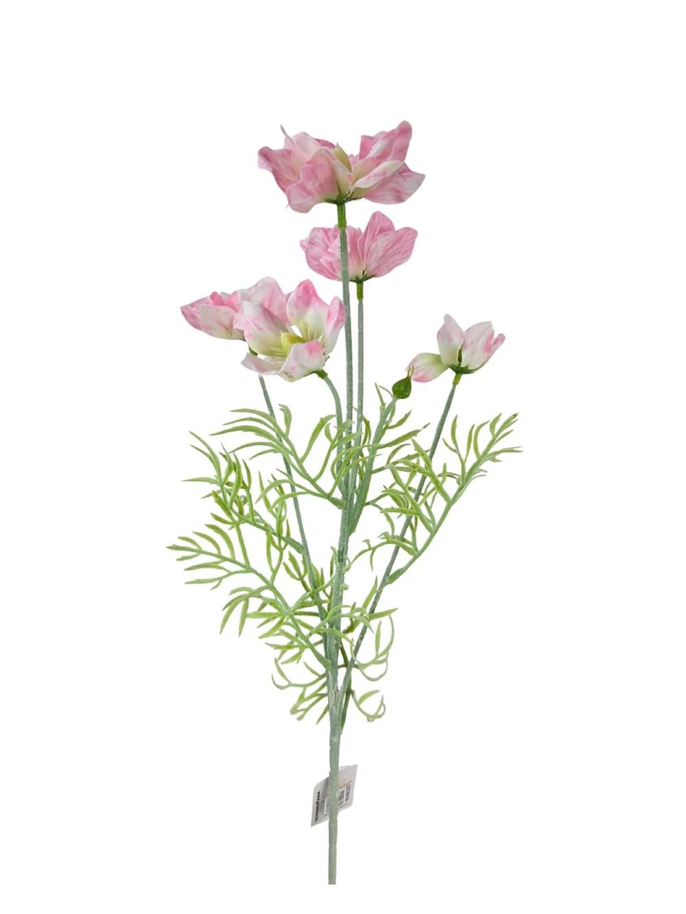 Dupla szirmú szálas virág - Rózsaszín