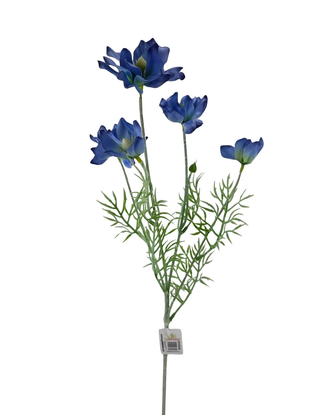 Dupla szirmú szálas virág - Kék