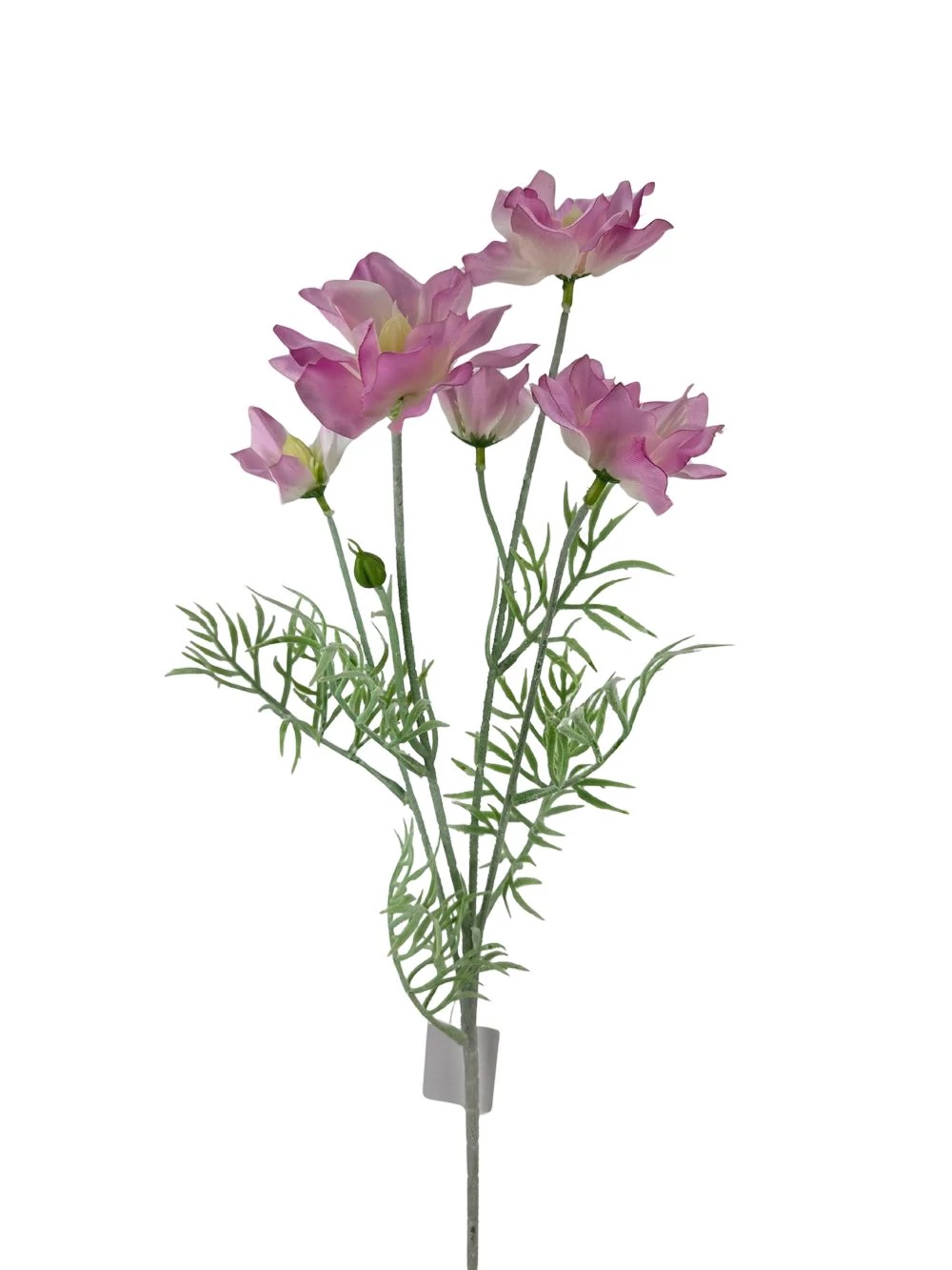 Dupla szirmú szálas virág - Pink