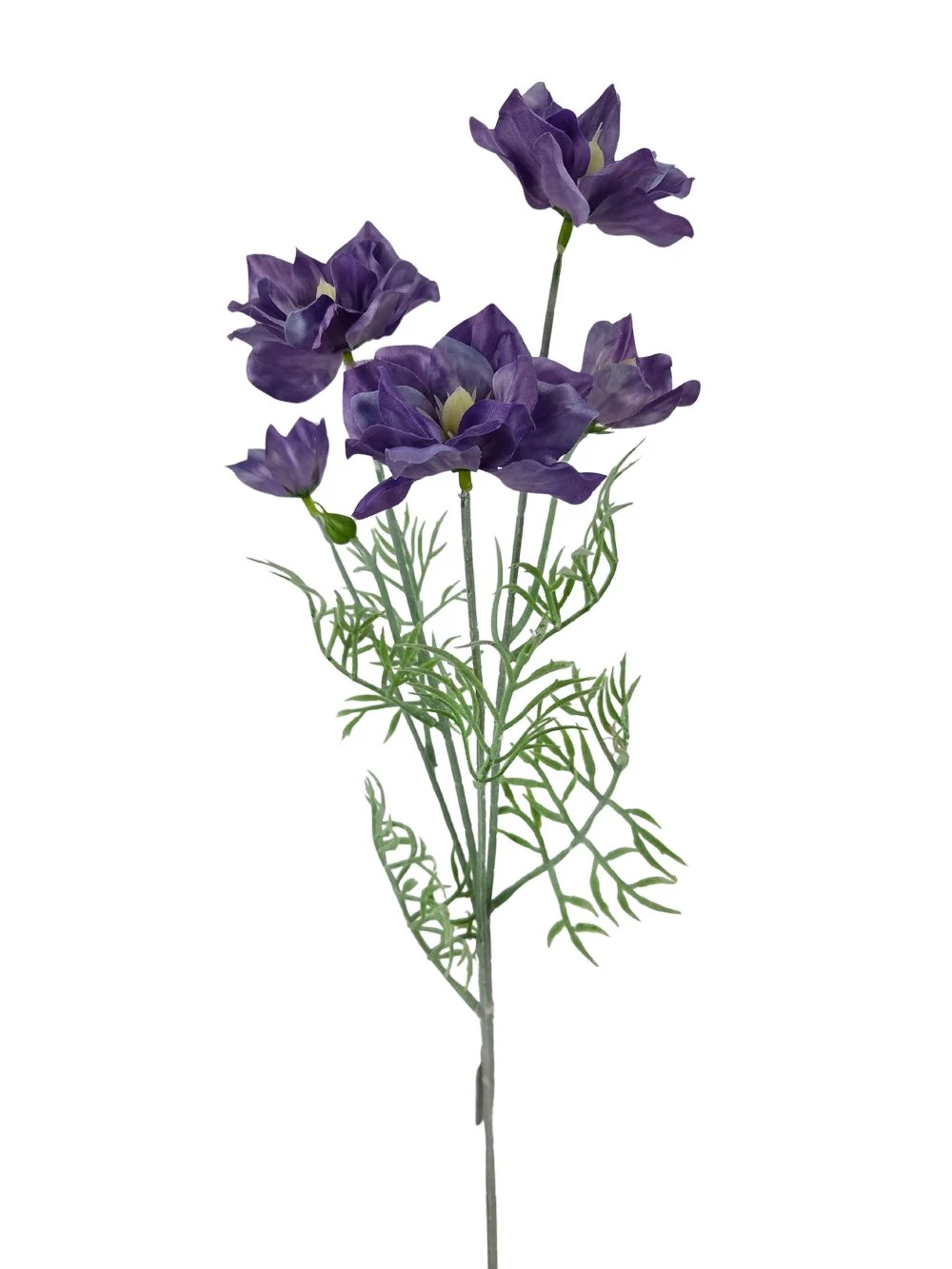 Dupla szirmú szálas virág - Lila