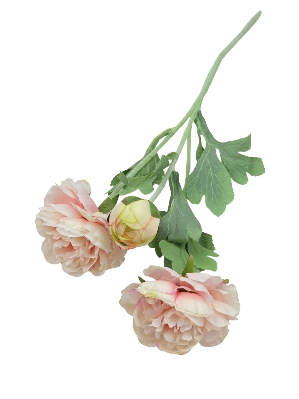 Szálas boglárka 2+1 - Cirmos