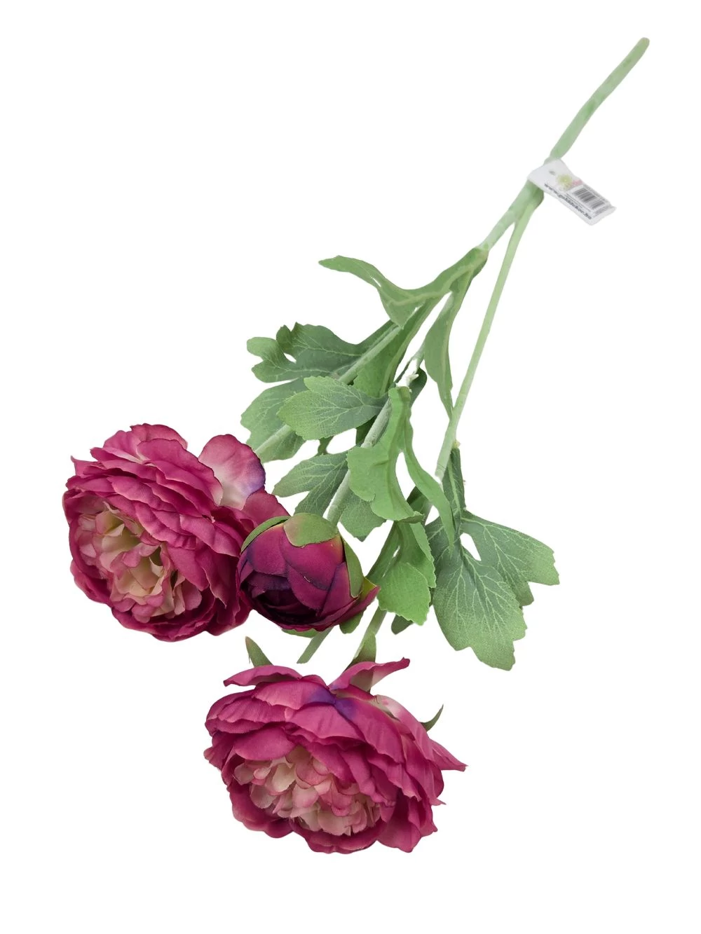 Szálas boglárka 2+1 - Mályva