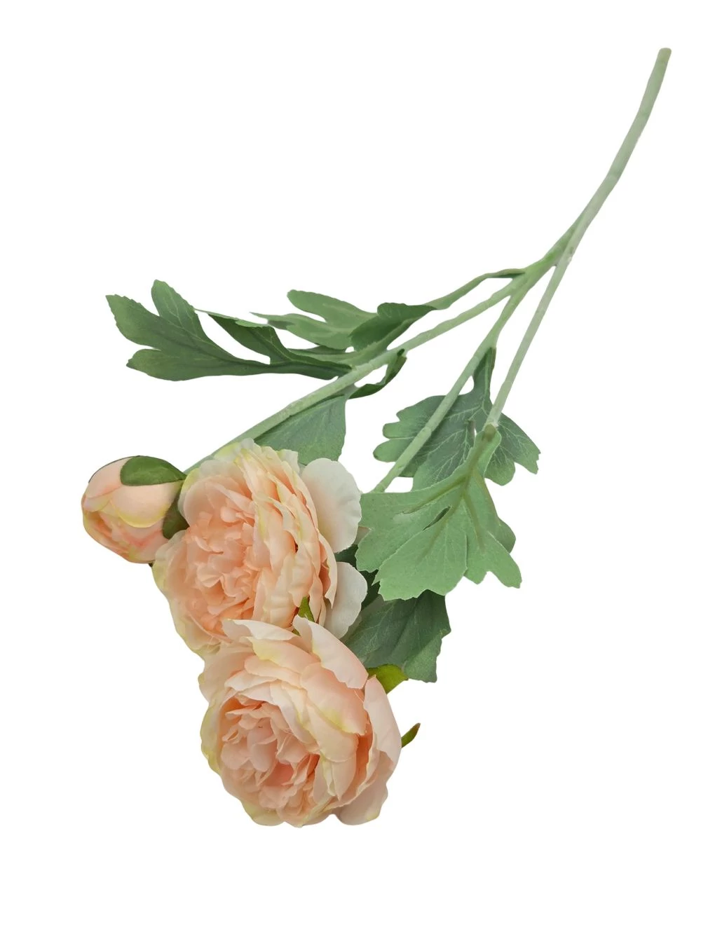 Szálas boglárka 2+1 - Barack