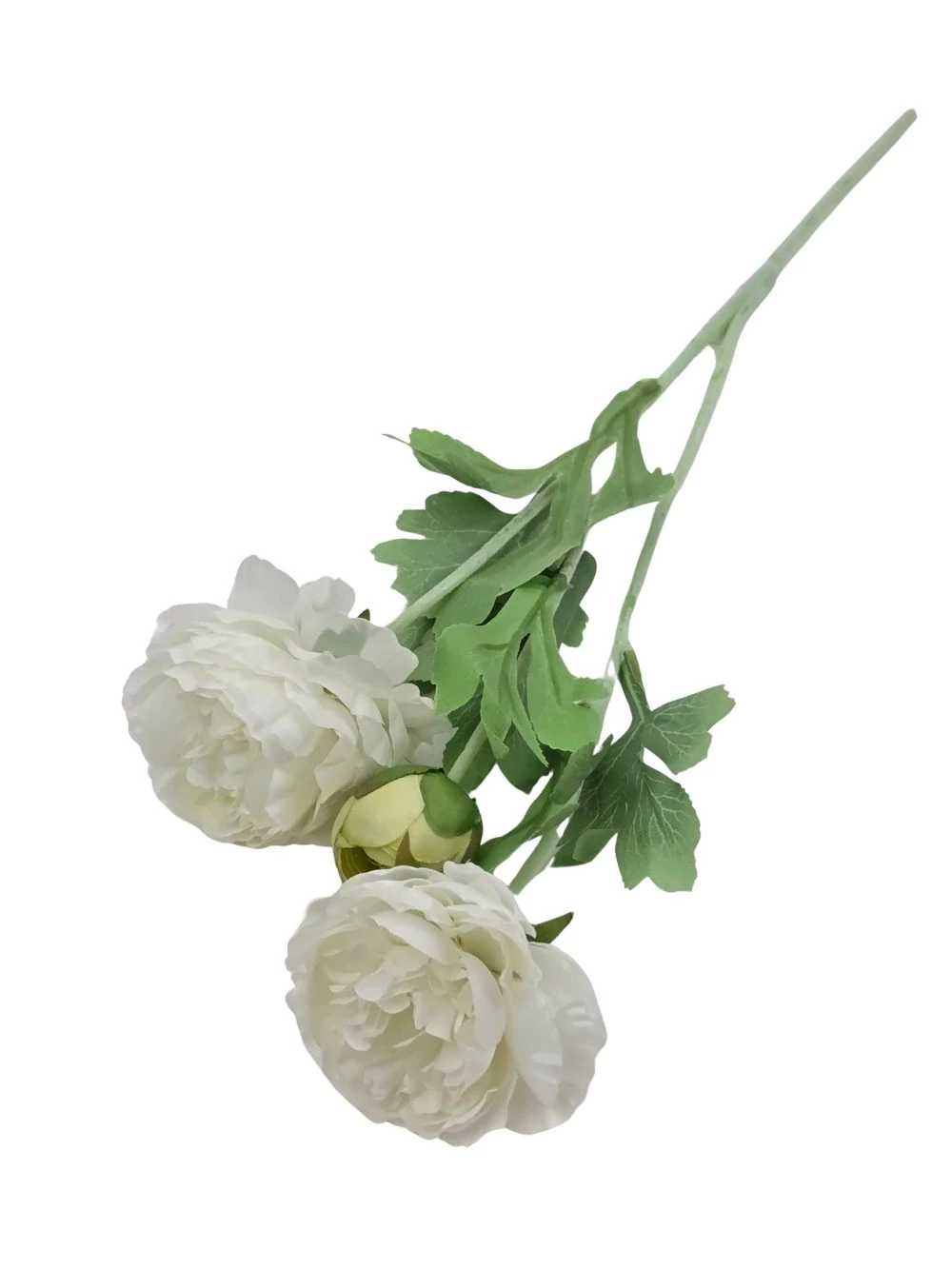 Szálas boglárka 2+1 - Fehér