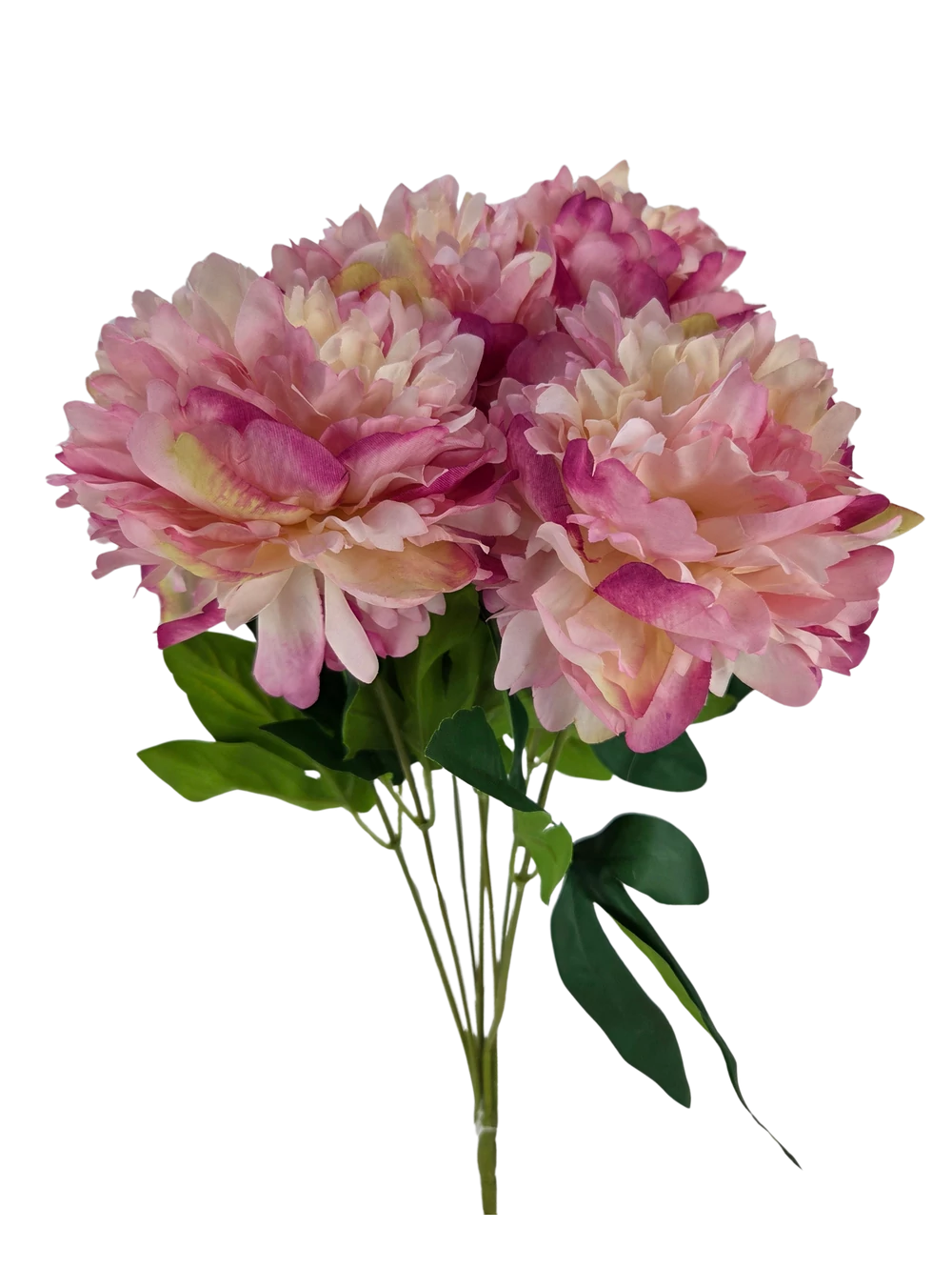 7 fejes peonia csokor 1 - Cirmos pink