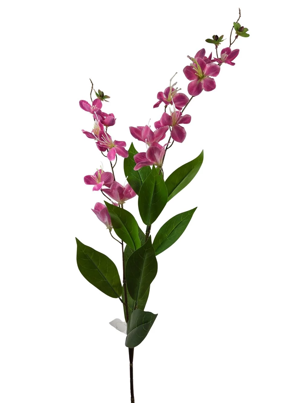 Virágos ág 18 - Pink