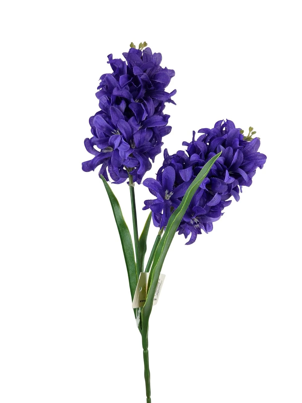 2 ágas jácint virág - Lila