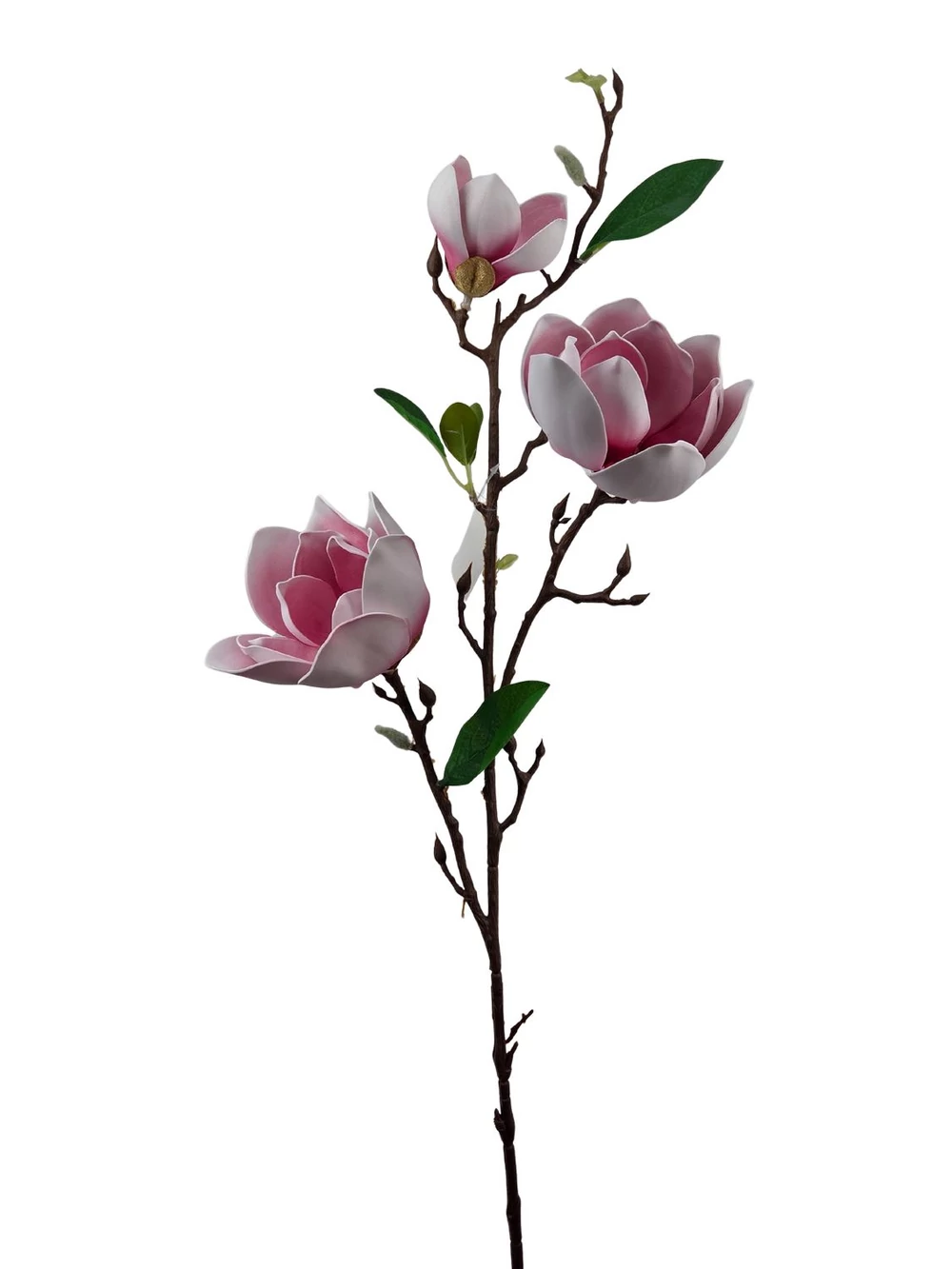 Magnólia ág F - Mályva