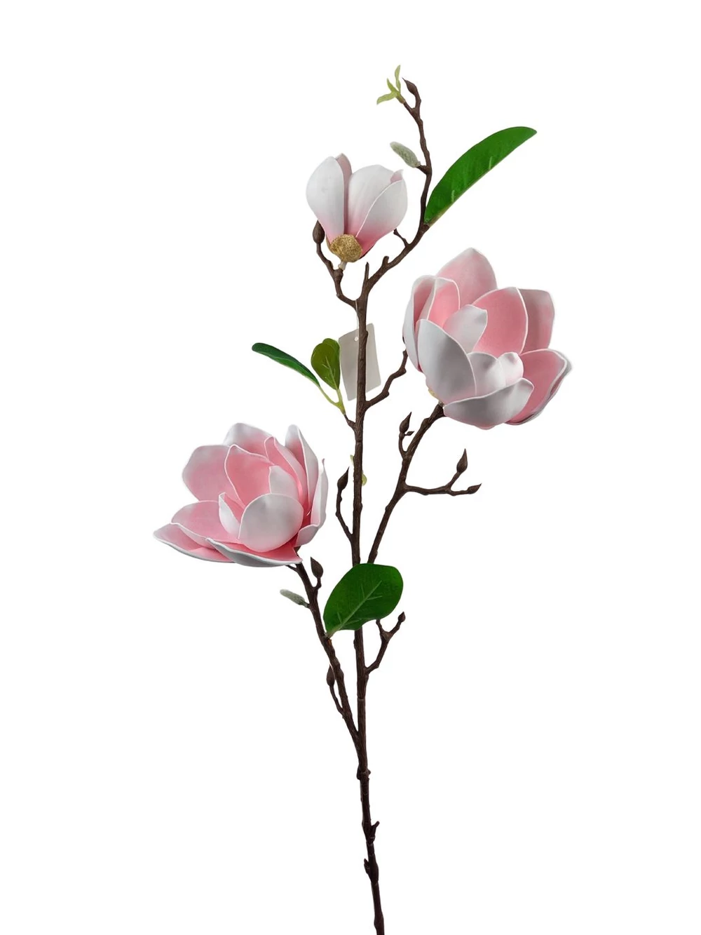 Magnólia ág F - Rózsaszín