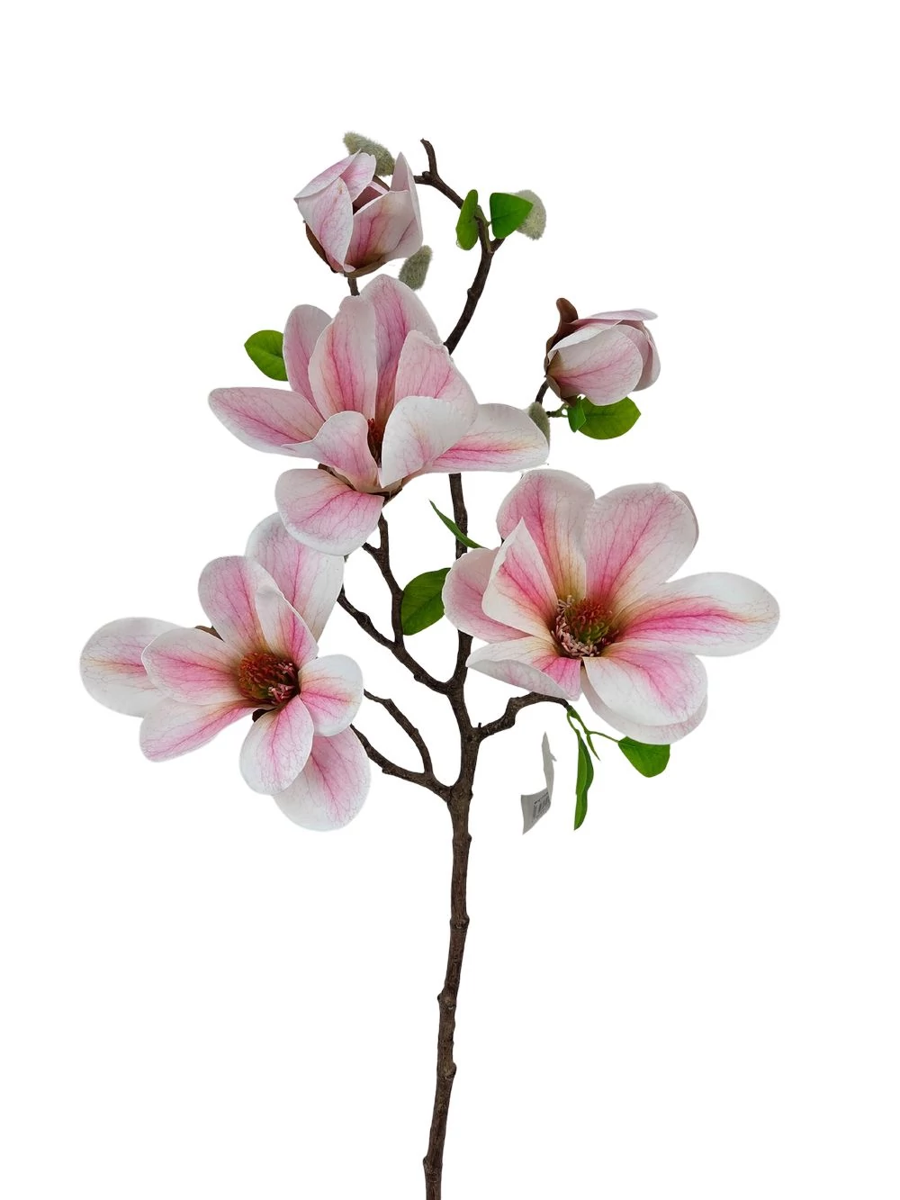 Magnólia ág E - Rózsaszín