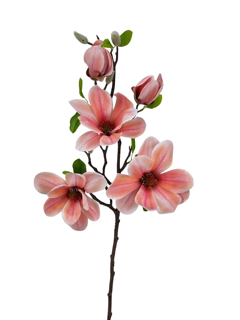 Magnólia ág E - Barackos rózsaszín