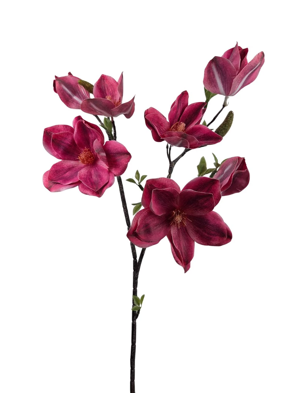 Magnólia ág G - Pink