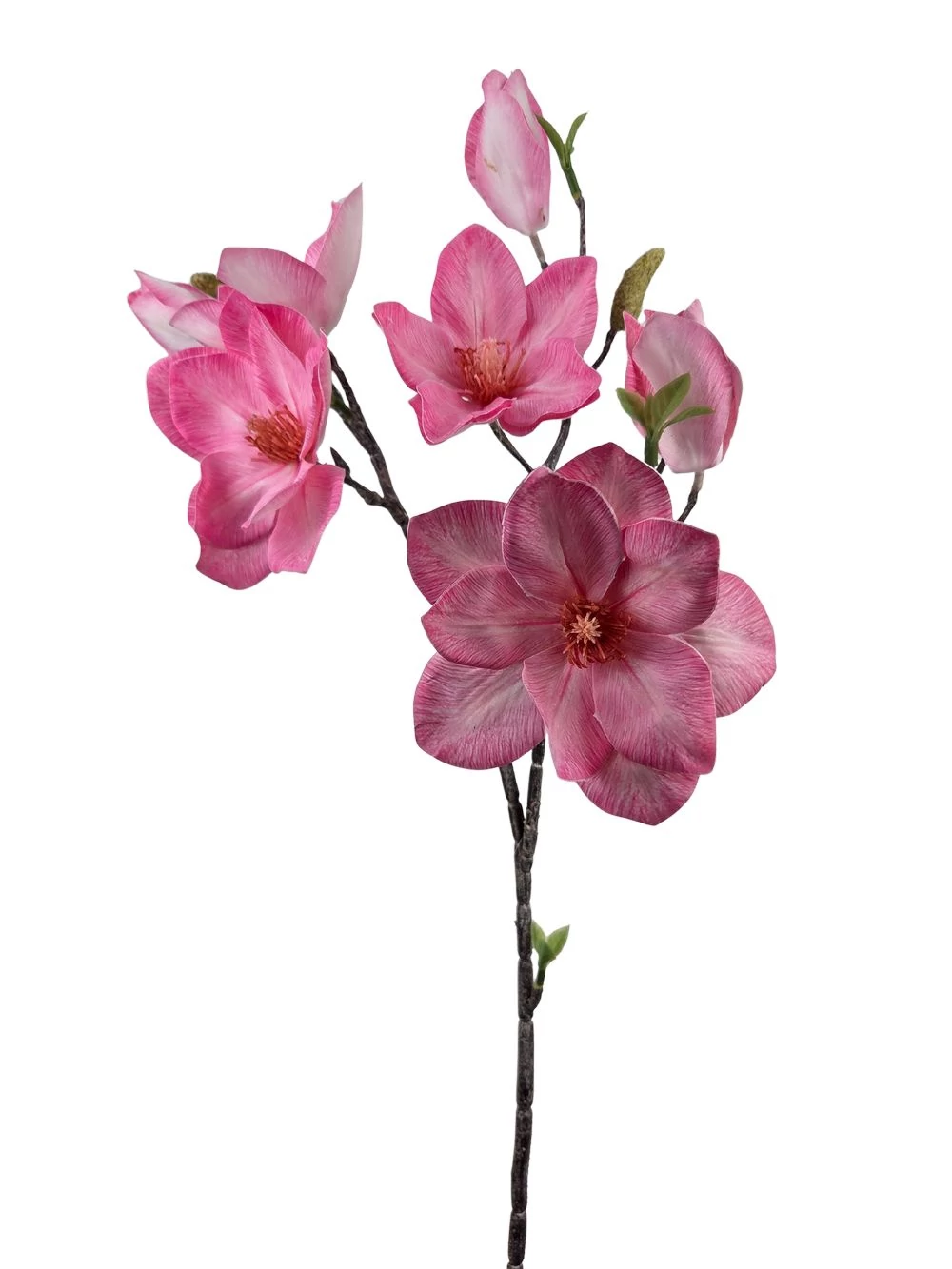 Magnólia ág G - Rózsaszín